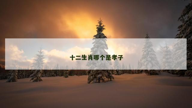 十二生肖哪个是孝子