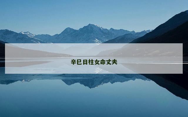 辛巳日柱女命丈夫 辛巳日柱女命丈夫