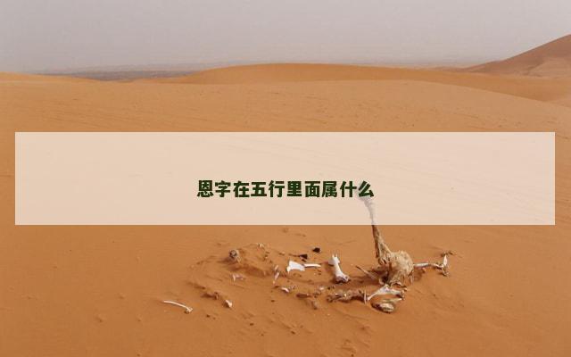 恩字在五行里面属什么