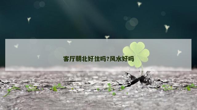 客厅朝北好住吗?风水好吗