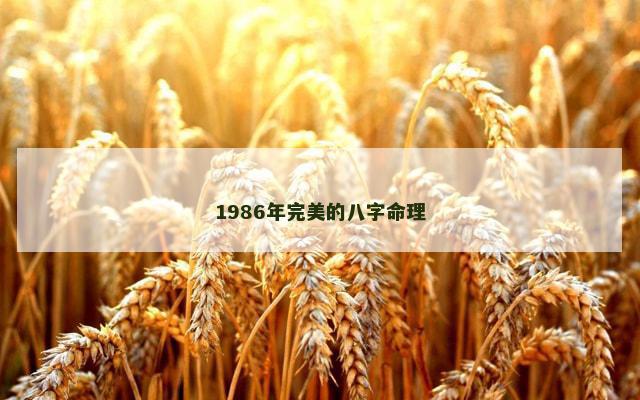 1986年完美的八字命理