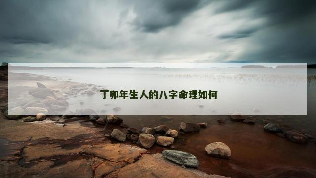 丁卯年生人的八字命理如何