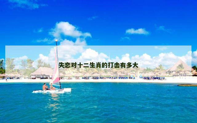 失恋对十二生肖的打击有多大