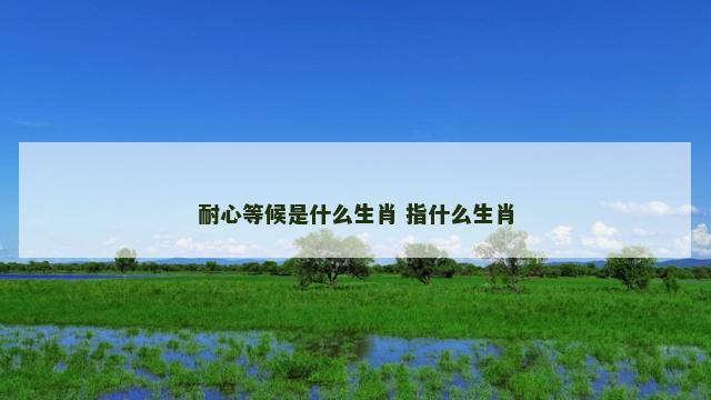 耐心等候是什么生肖 指什么生肖