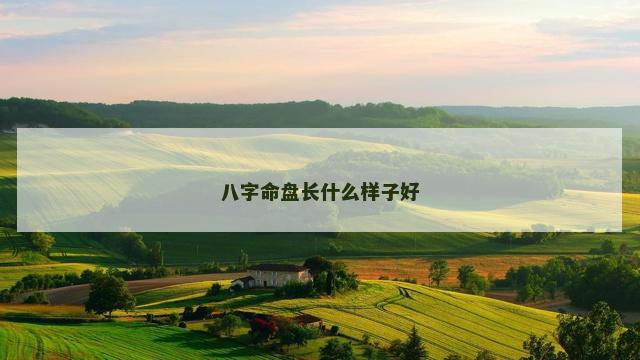 八字命盘长什么样子好