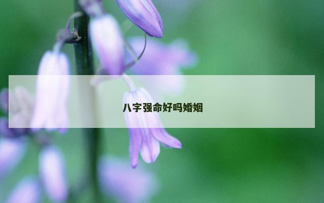 八字强命好吗婚姻