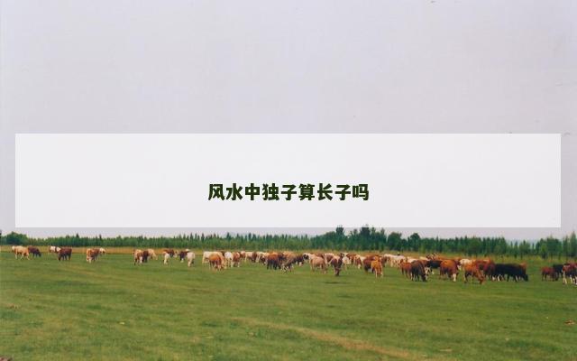 风水中独子算长子吗