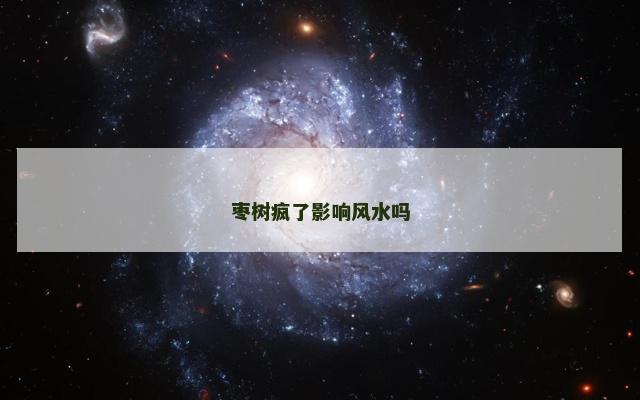枣树疯了影响风水吗