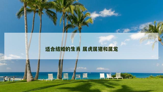 适合结婚的生肖 属虎属猪和属龙