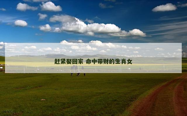 赶紧娶回家 命中带财的生肖女 赶紧娶回家 命中带财的生肖女