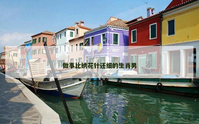 做事比绣花针还细的生肖男
