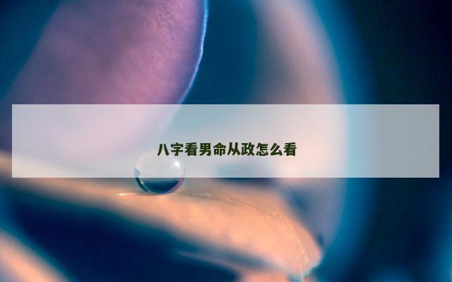 八字看男命从政怎么看