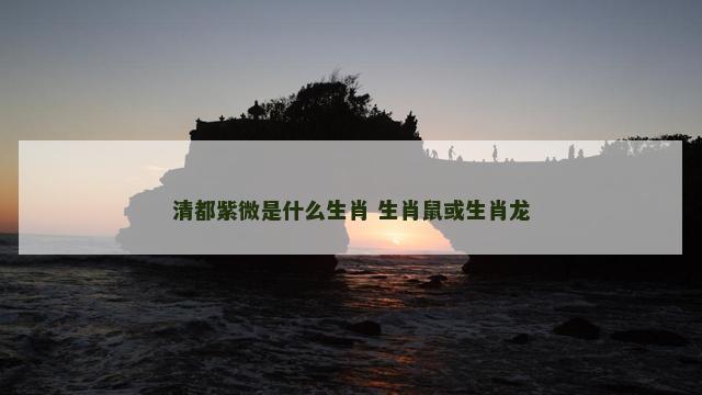 清都紫微是什么生肖 生肖鼠或生肖龙