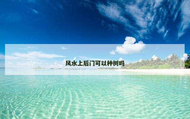 风水上后门可以种树吗