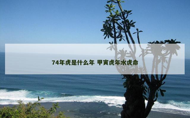 74年虎是什么年 甲寅虎年水虎命