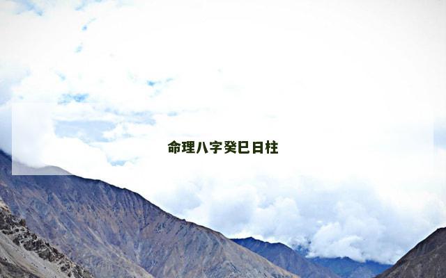 命理八字癸巳日柱