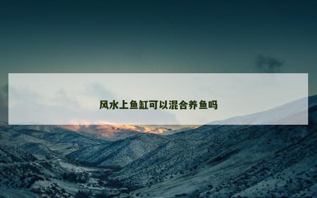 风水上鱼缸可以混合养鱼吗