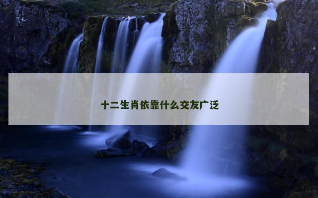 十二生肖依靠什么交友广泛