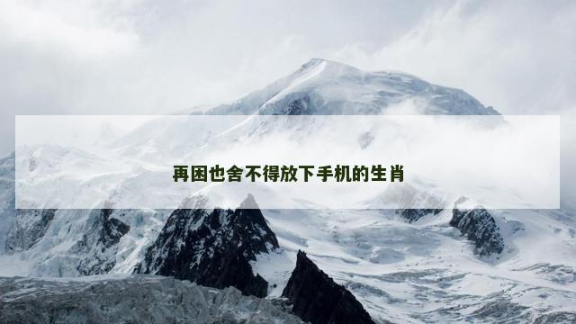 再困也舍不得放下手机的生肖