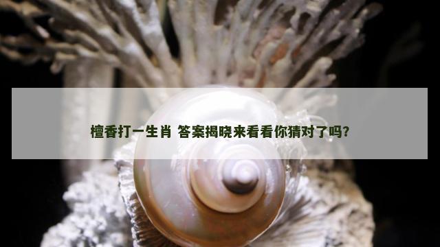 檀香打一生肖 答案揭晓来看看你猜对了吗？