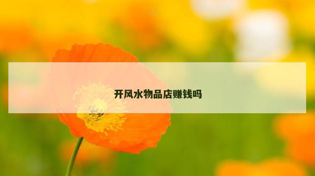 开风水物品店赚钱吗