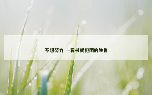不想努力 一看书就犯困的生肖