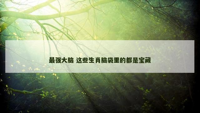 最强大脑 这些生肖脑袋里的都是宝藏 最强大脑 这些生肖脑袋里的都是宝藏