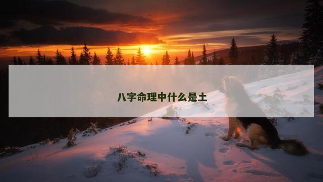 八字命理中什么是土