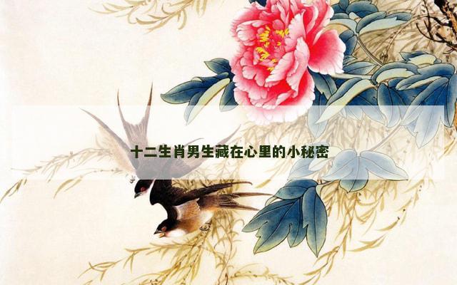 十二生肖男生藏在心里的小秘密