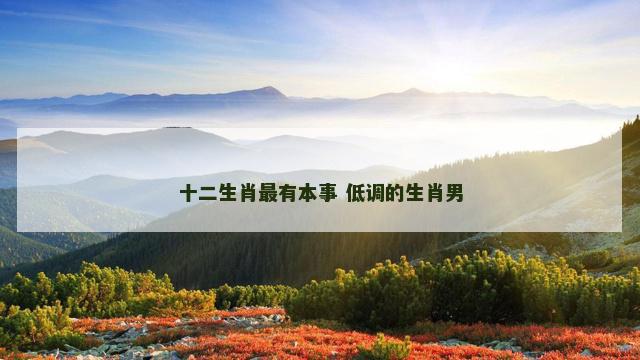 十二生肖最有本事 低调的生肖男