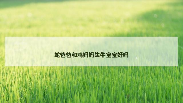 蛇爸爸和鸡妈妈生牛宝宝好吗
