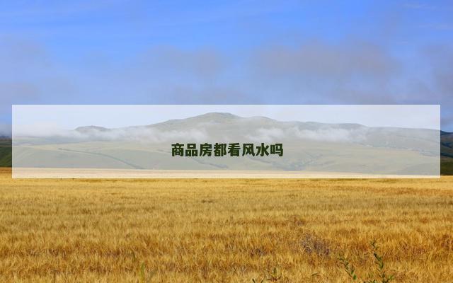 商品房都看风水吗