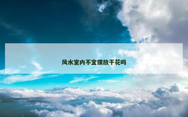 风水室内不宜摆放干花吗
