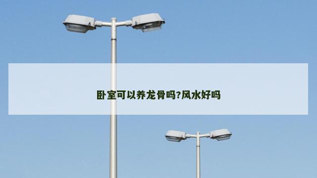 卧室可以养龙骨吗?风水好吗 卧室可以养龙骨吗?风水好吗