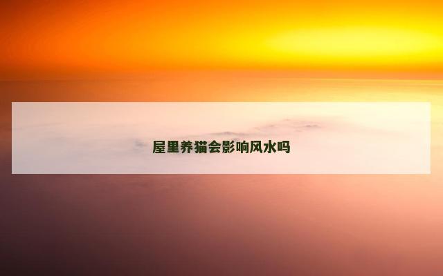 屋里养猫会影响风水吗