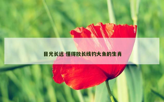 目光长远 懂得放长线钓大鱼的生肖 目光长远 懂得放长线钓大鱼的生肖