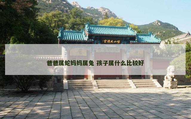 爸爸属蛇妈妈属兔 孩子属什么比较好