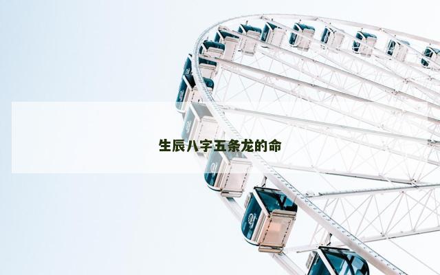 生辰八字五条龙的命
