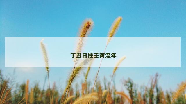 丁丑日柱壬寅流年