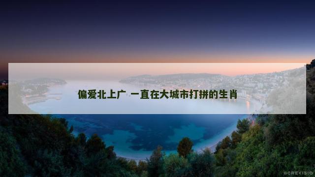 偏爱北上广 一直在大城市打拼的生肖