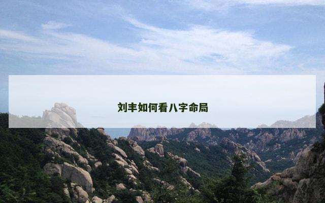 刘丰如何看八字命局