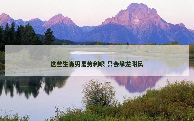 这些生肖男是势利眼 只会攀龙附凤