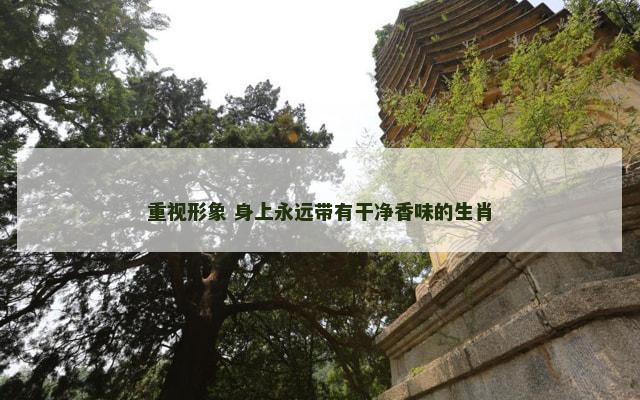 重视形象 身上永远带有干净香味的生肖