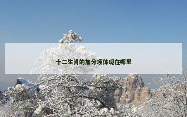 十二生肖的加分项体现在哪里