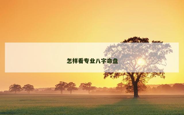 怎样看专业八字命盘 怎样看专业八字命盘