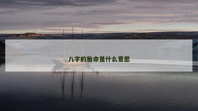 八字的胎命是什么意思