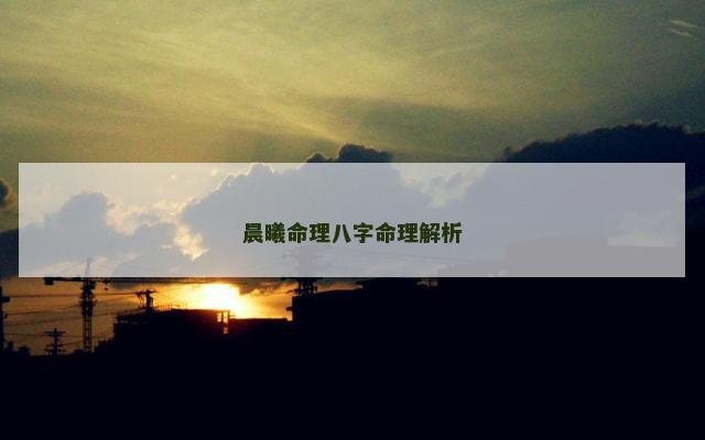 晨曦命理八字命理解析