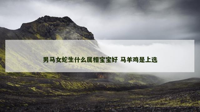男马女蛇生什么属相宝宝好 马羊鸡是上选