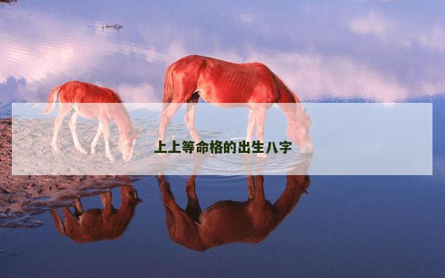 上上等命格的出生八字