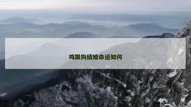 鸡跟狗结婚命运如何 鸡跟狗结婚命运如何